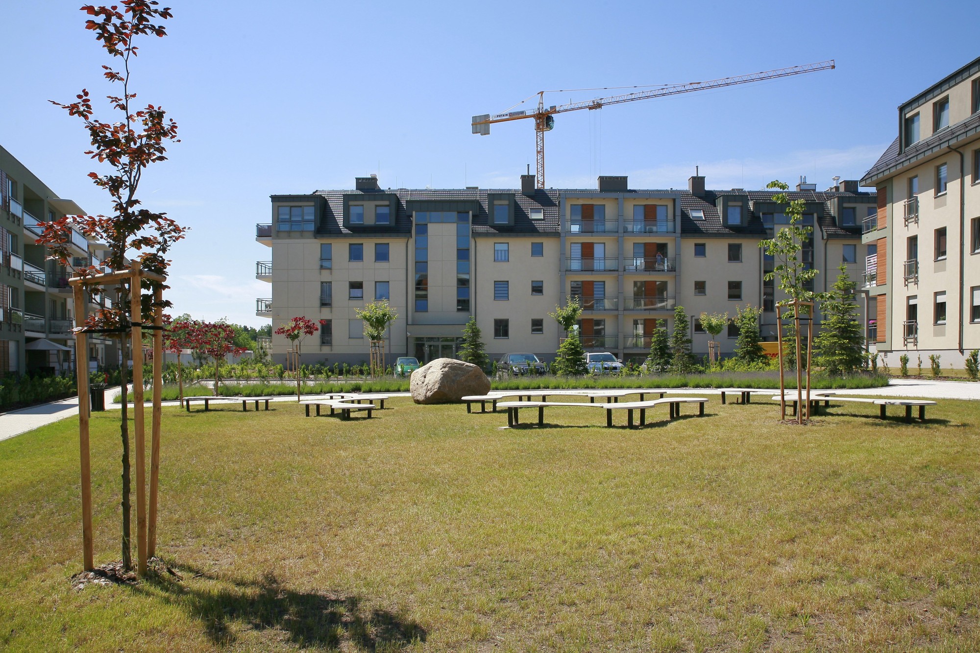 _MG_3696.jpg