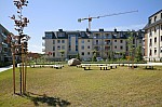 _MG_3696.jpg _MG_3696.jpg