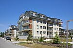 _MG_3700.jpg _MG_3700.jpg