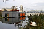 _MG_1856.jpg _MG_1856.jpg