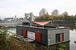_MG_9906.jpg _MG_9906.jpg
