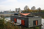 _MG_9908.jpg _MG_9908.jpg