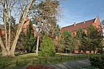 IMG_0382.jpg