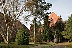 IMG_0391.jpg