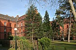 IMG_0395.jpg