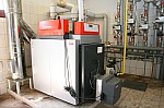 IMG_1556.jpg IMG_1556.jpg