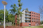 _MG_3822.jpg _MG_3822.jpg