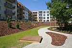 _MG_3834.jpg _MG_3834.jpg