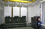 _MG_3718.jpg _MG_3718.jpg