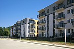 _MG_3765.jpg _MG_3765.jpg