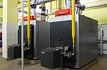 IMG_8788.jpg