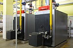 IMG_8789.jpg