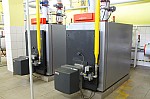 IMG_8790.jpg