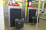 IMG_8795.jpg