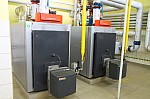 IMG_8796.jpg