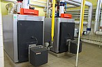 IMG_8797.jpg