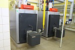 IMG_8798.jpg