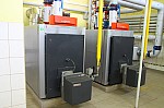 IMG_8799.jpg