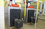 IMG_8800.jpg
