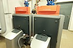 IMG_8859.jpg IMG_8859.jpg