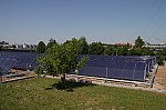 IMG_9553.jpg IMG_9553.jpg