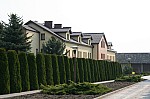 IMG_0061.jpg