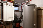 IMG_7354.jpg