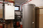 IMG_7355.jpg