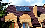 IMG_7368.jpg