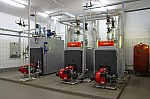 IMG_8839.jpg