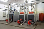 IMG_8841.jpg