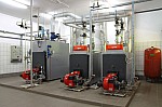 IMG_8842.jpg