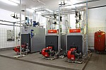 IMG_8843.jpg