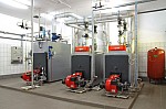 IMG_8844.jpg
