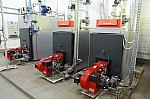 IMG_8850.jpg