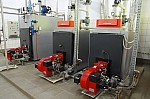 IMG_8851.jpg