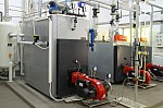 IMG_8859.jpg